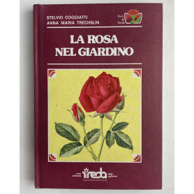 La rosa nel giardino