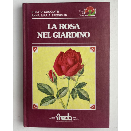 La rosa nel giardino
