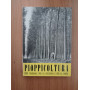 Pioppocoltura