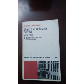 Banca e industria in Italia (1894-1906) II. Il sistema bancario tra due crisi