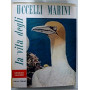 LA VITA DEGLI UCCELLI MARINI