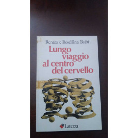 Lungo viaggio al centro del cervello