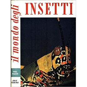 Il mondo degli insetti