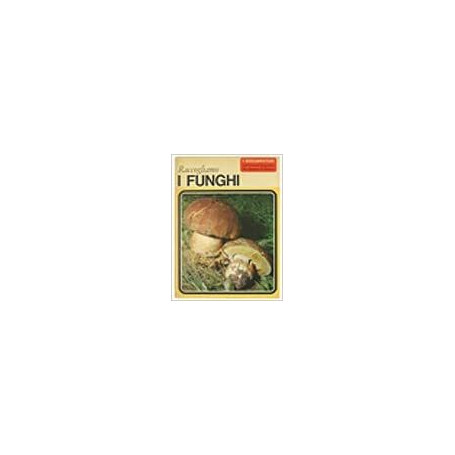 Raccogliamo i funghi