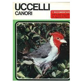 Uccelli Canori