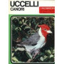 Uccelli Canori