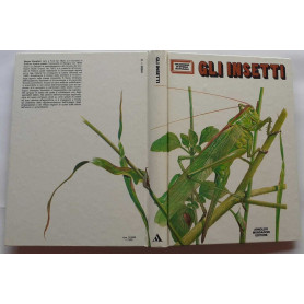 Gli insetti