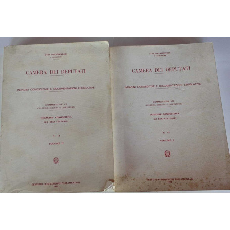 Atti parlamentari. Indagini conoscitive e documentazioni legislative. Volume I II N.13