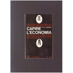 Capire l'economia
