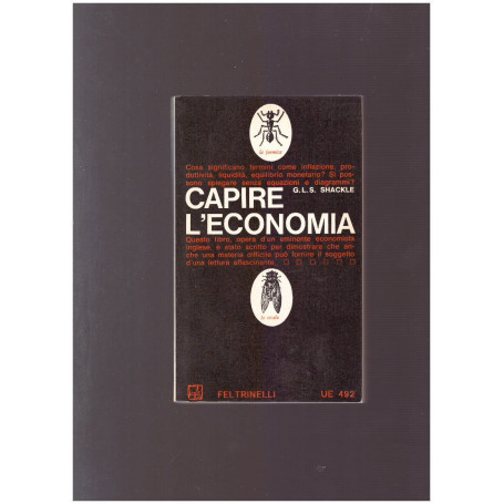 Capire l'economia