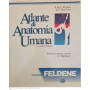 Atlante di anatomia umana