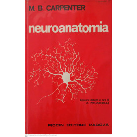 Neuroanatomia
