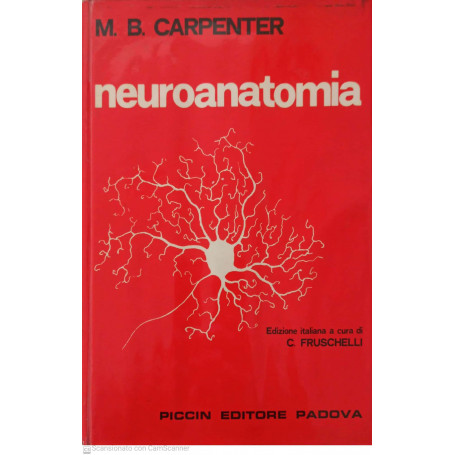 Neuroanatomia