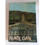 Fonte Gaia