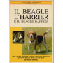 Il beagle l'harrier e il beagle-harrier