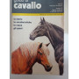 Guida al cavallo
