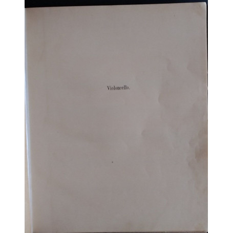 Violoncello