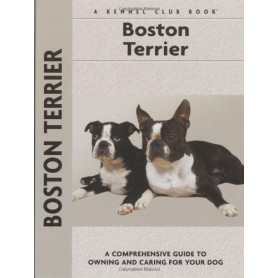 Boston Terrier