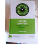 Capire Einstein