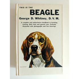 This is the Beagle