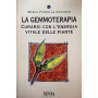 La gemmoterapia. Curarsi con l'energia vitale delle piante