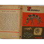 Fossili