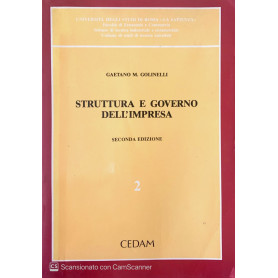 Struttura e governo dell' impresa