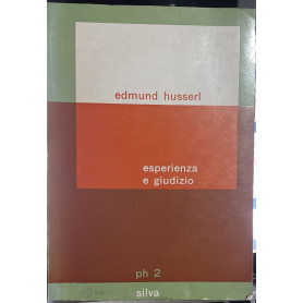 Esperienza e giudizio