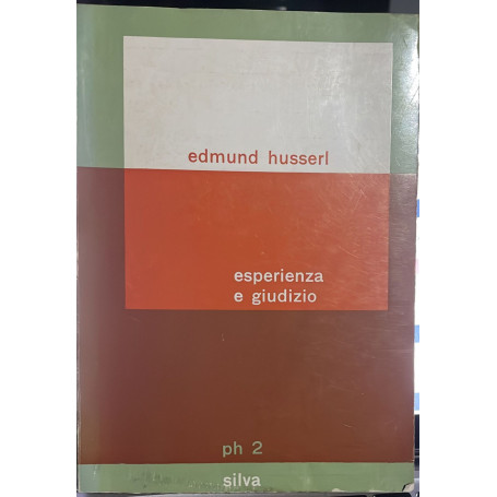 Esperienza e giudizio
