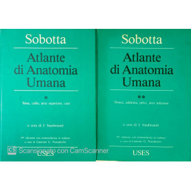 Atlante di anatomia umana