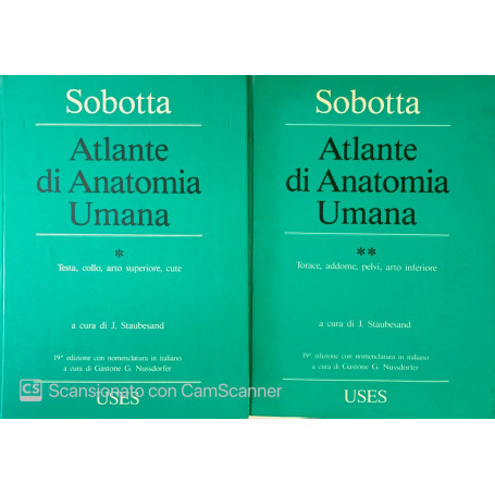 Atlante di anatomia umana
