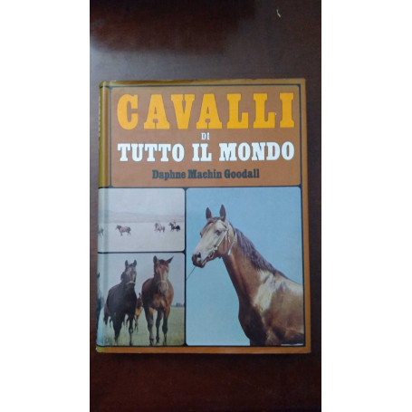 Cavalli di tutto il mondo