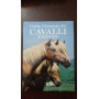 Guida illustrata dei cavalli e ponies