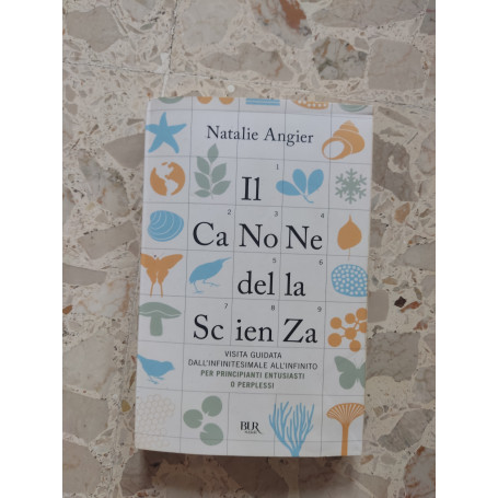 Il canone della scienza. Visita guidata dall'infinitesimale all'infinito per principianti entusiasti o perplessi