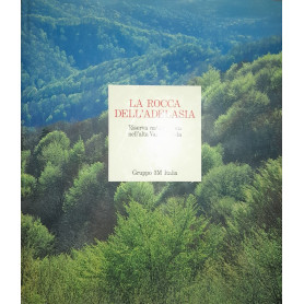 La rocca dell'Adelasia. Una riserva naturalistica nell'alta val Bormida. Ediz. illustrata
