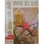 La strana vita delle sponde del mare