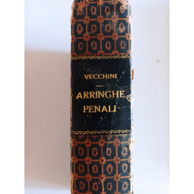 Arringhe penali