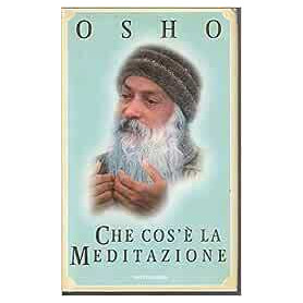 Che cos'AÂ¨ la meditazione