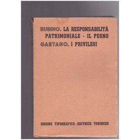 La responsabiltà patrimoniale Il Pegno. I Privilegi