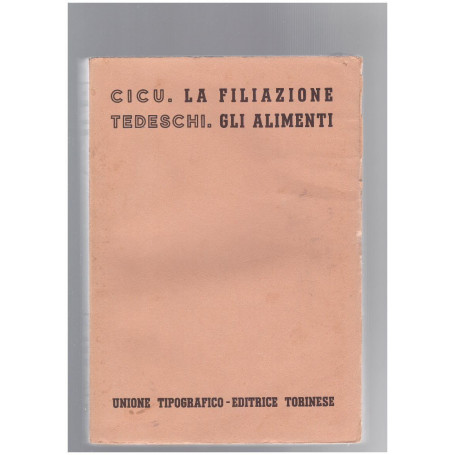 La Filiazione Gli Alimenti