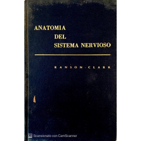 Anatomia del sistema nervioso
