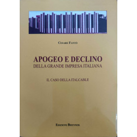 Apogeo e declino della grande impresa italiana.