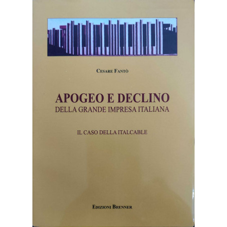 Apogeo e declino della grande impresa italiana.