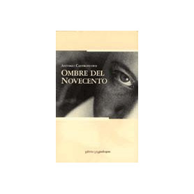 Ombre del Novecento