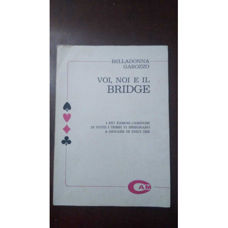 Voi noi e il bridge