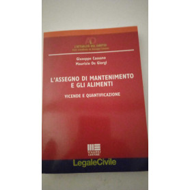 L'assegno di mantenimento e gli alimenti