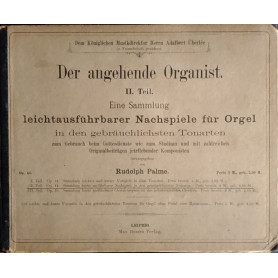 Der angehende Organist