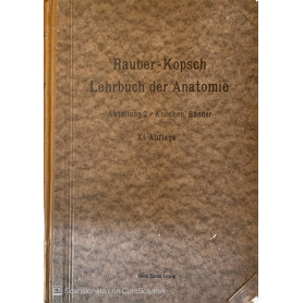 Rauber's Lehrbuch der Anatomie des Menschen. Vol 2