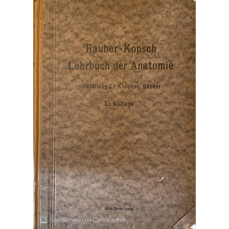 Rauber's Lehrbuch der Anatomie des Menschen. Vol 2