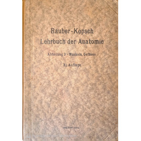 Rauber's Lehrbuch der Anatomie des Menschen. Vol. 3